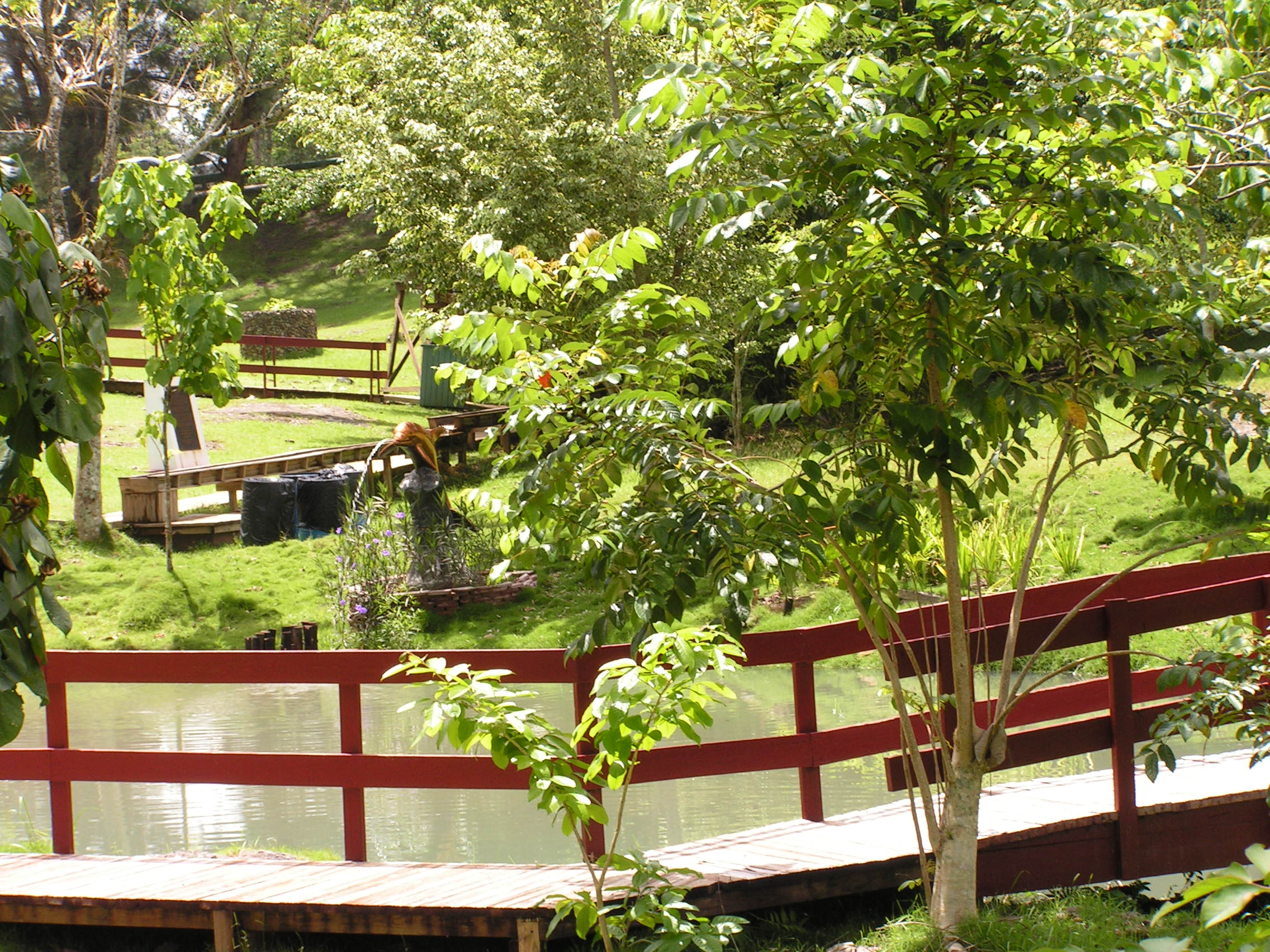 ./2005/Puerto Rico/Part 1/PICT0229.JPG